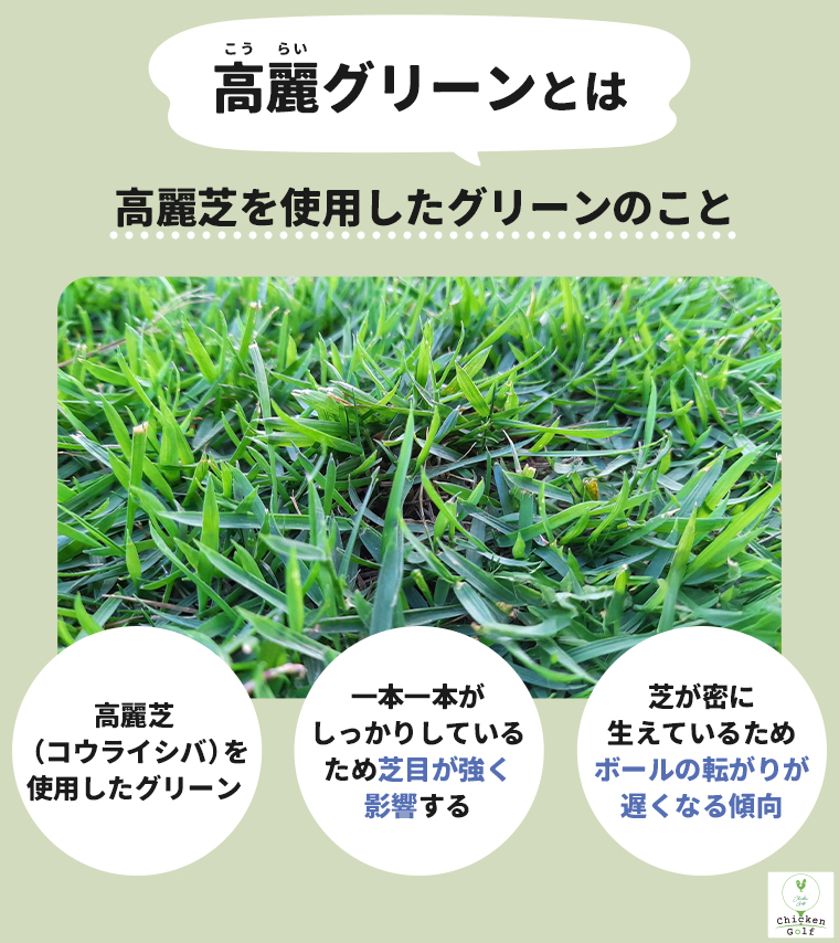 高麗グリーンとは高麗芝を使用したグリーンのこと