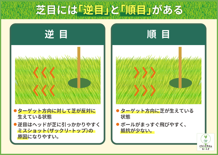 芝目には「逆目」と「順目」がある｜太陽の光の反射や芝の性質で見分けが可能