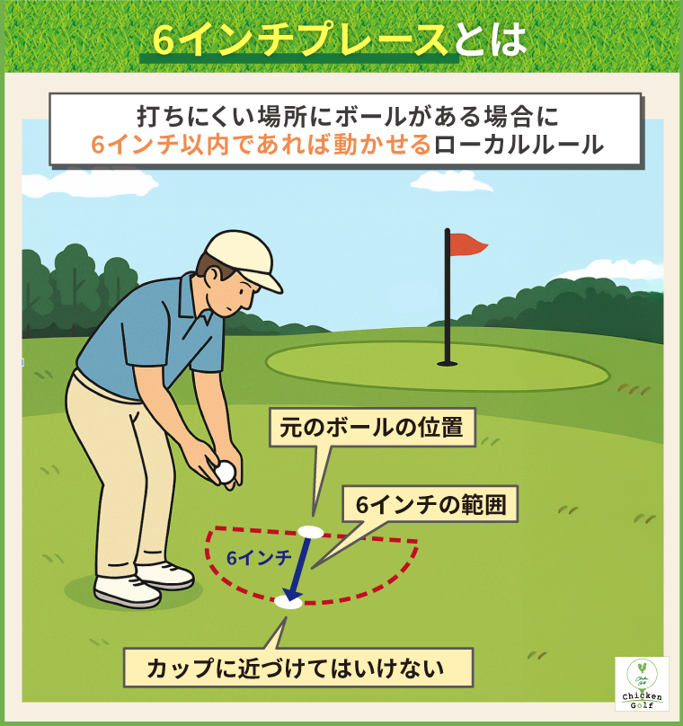 6インチプレースとは