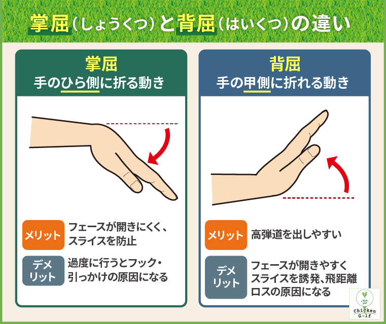 掌屈と背屈の違い