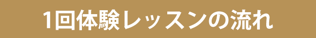 1回体験レッスンの流れ